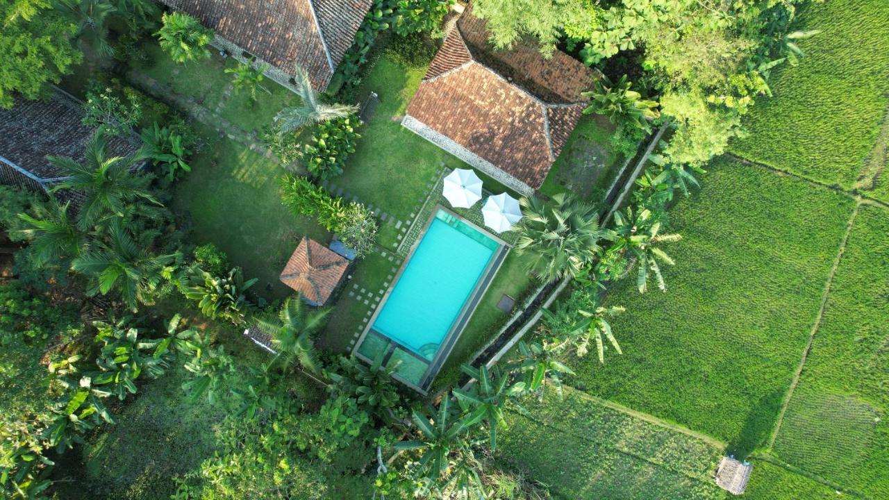 Guest house Blue Garden 3*