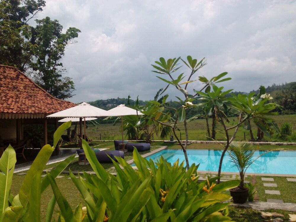 Guest house Blue Garden 3*